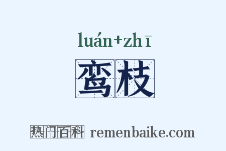 鸾枝是什么意思的图片